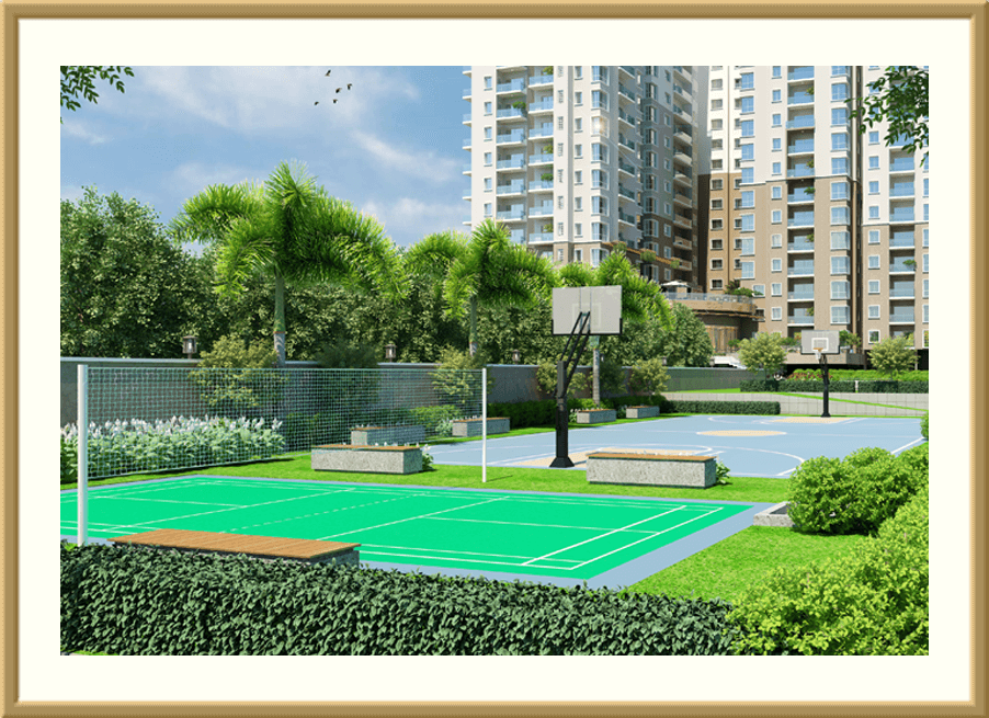 Basket-ball-court