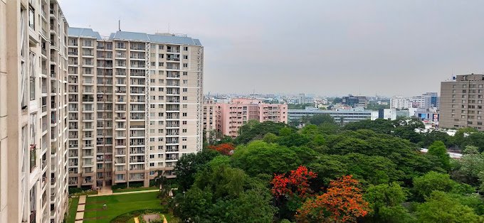 IMG20190722173550