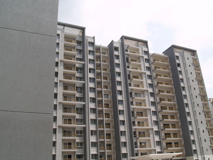 P1017463