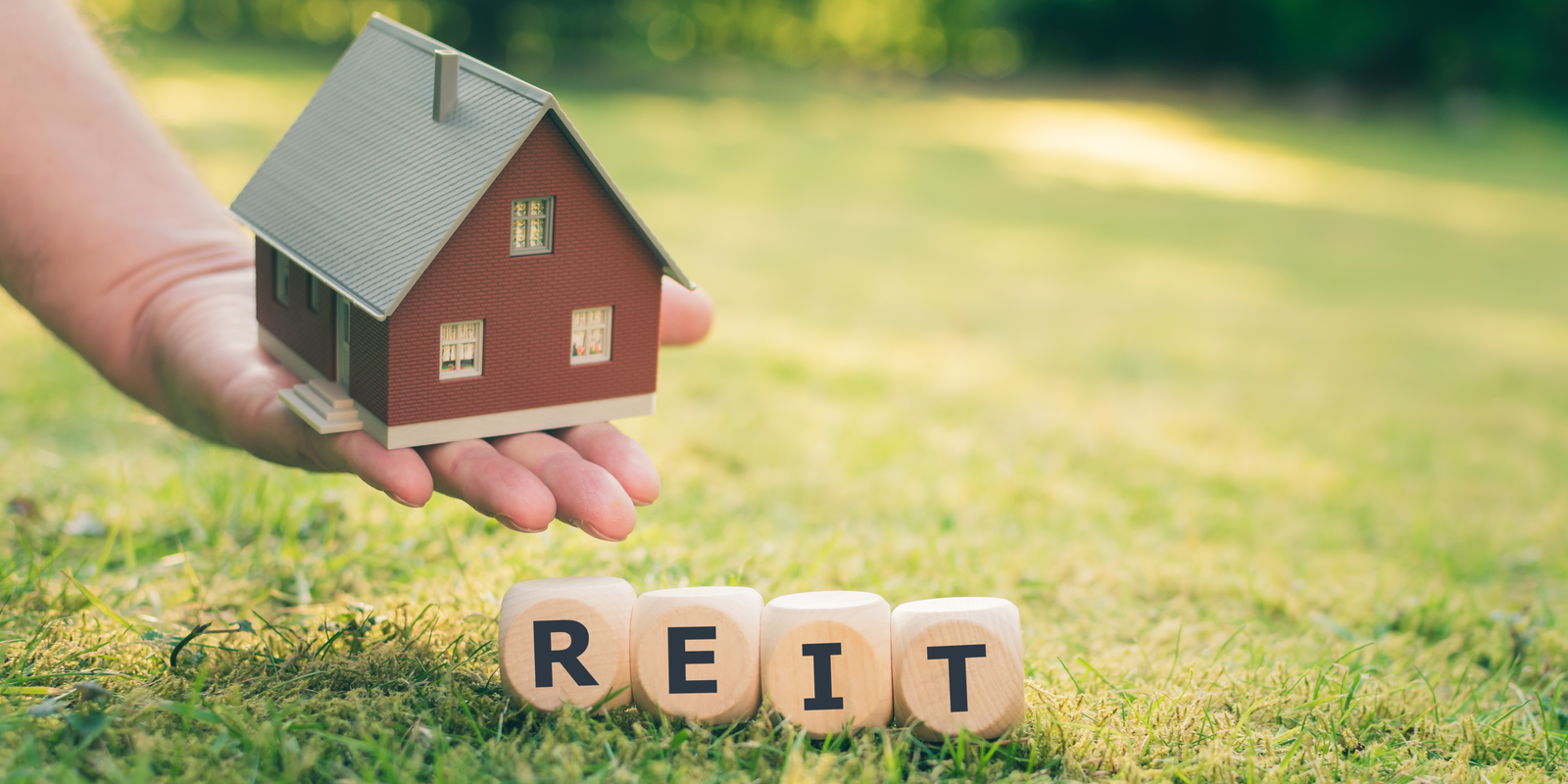 Real Estate